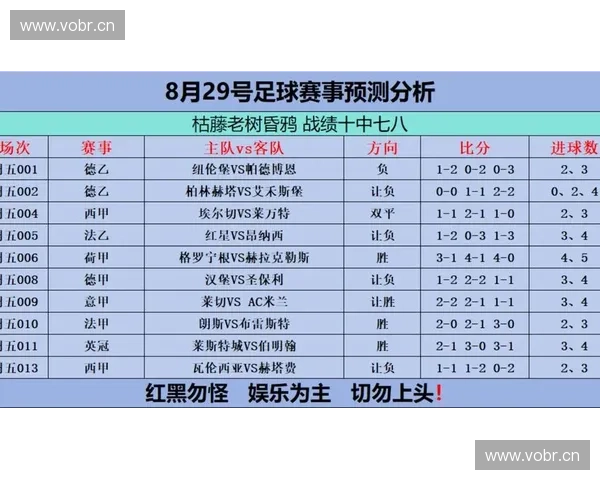 全面解析各大赛事网站资源 助你轻松掌握最新体育赛事信息