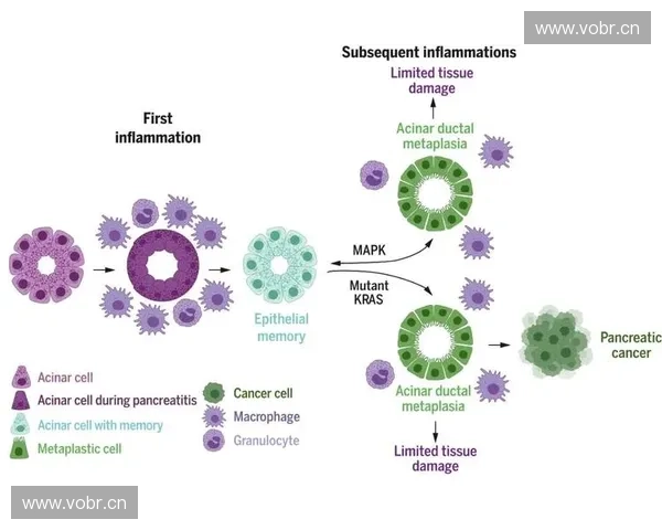 《探索Dota2扭蛋系统的新玩法与奖励机制解析》